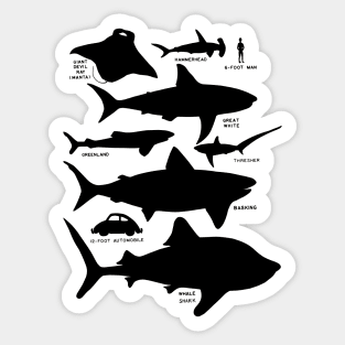 Sea Shadows - Shark Silhouettes Sticker